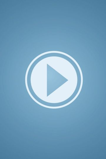 Мой дикий друг. Возвращение домой